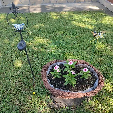 - Balaton 18389 * Balatonfenyves